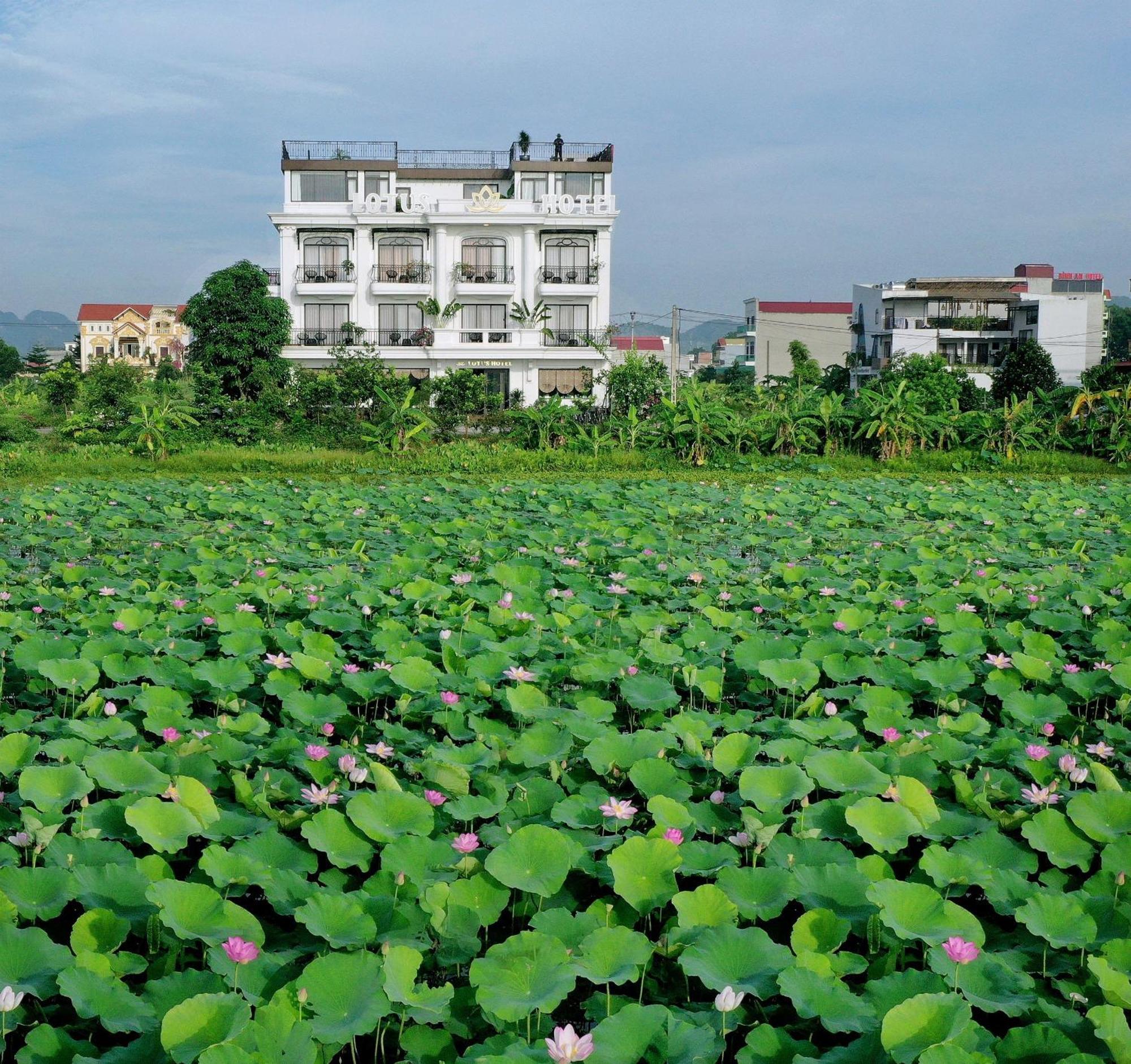 Lotus Hotel Ninh Binh Exterior foto